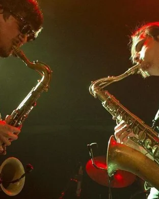 Iron and Wine Saint Paul