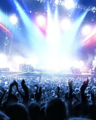 Steelin Dan Minneapolis