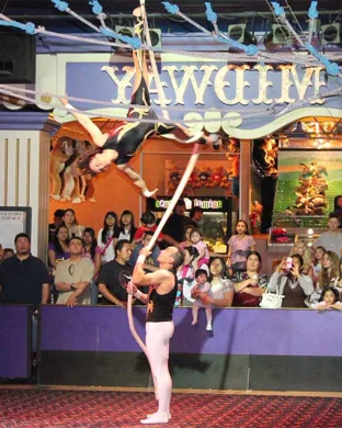 Paranormal Cirque Inferno