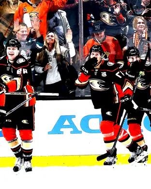 Anaheim Ducks vs. Minnesota Wild