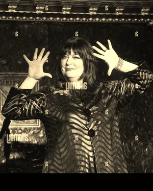 Ann Hampton Callaway Minneapolis