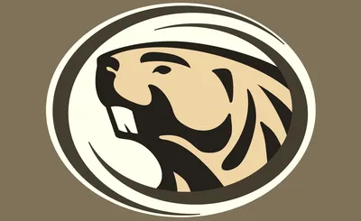 Bemidji State Beavers