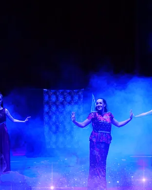 Do Portugal Circus