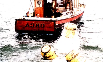 Jaws in Concert