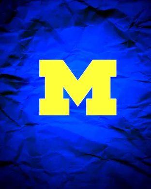 Michigan Wolverines