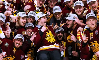 Minnesota Duluth Bulldogs