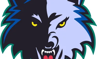 Minnesota Timberwolves