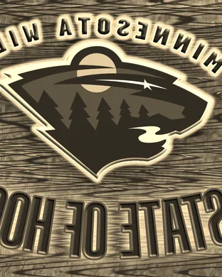 Minnesota Wild vs. Anaheim Ducks sports event