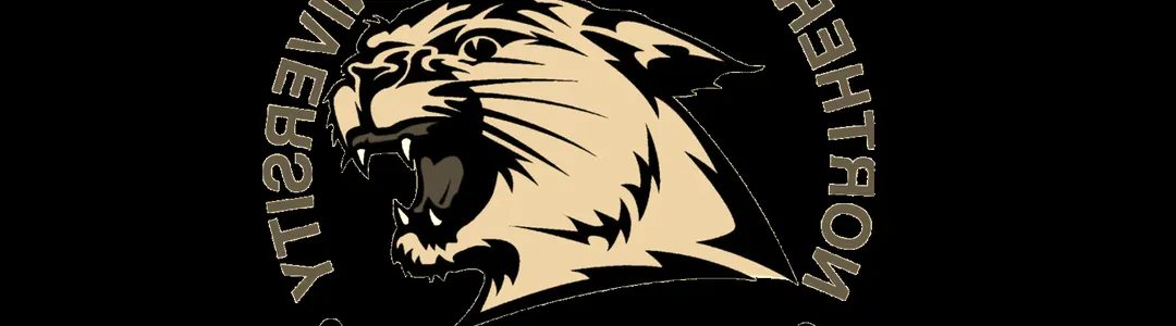 Northern Michigan Wildcats