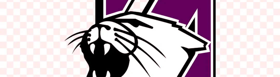 Northwestern Wildcats Football