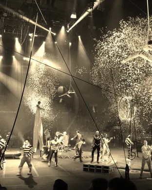Ringling Bros. and Barnum & Bailey Circus Saint Paul