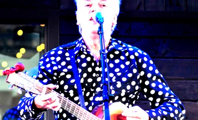 Robyn Hitchcock