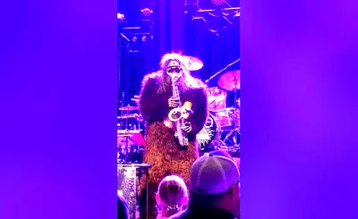 Saxsquatch