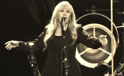 Stevie Nicks