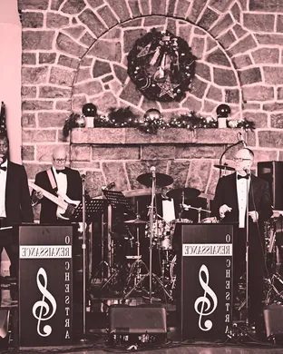 The Renaissance Orchestra