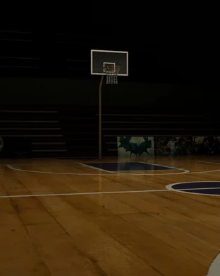 Minnesota Golden Gophers Women's Basketball