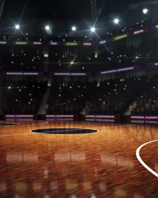 Minnesota Golden Gophers Women's Basketball Minneapolis