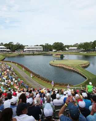 All Elite Wrestling: Dynamite & Collision