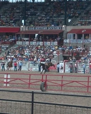 Minnesota Horse Expo Rodeo