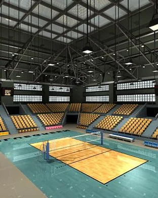 Minnesota Golden Gophers Women's Volleyball Minneapolis
