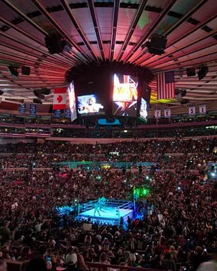 All Elite Wrestling: Dynamite & Collision